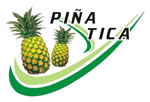 Piña Tica Ticaban de Pococí